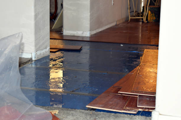 Professional Basement Flood Cleanup technician working in Springfield, ME